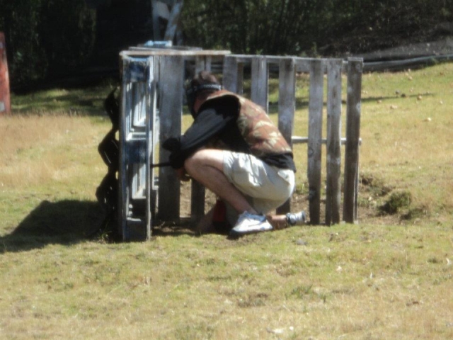 Escondido tras las paletas